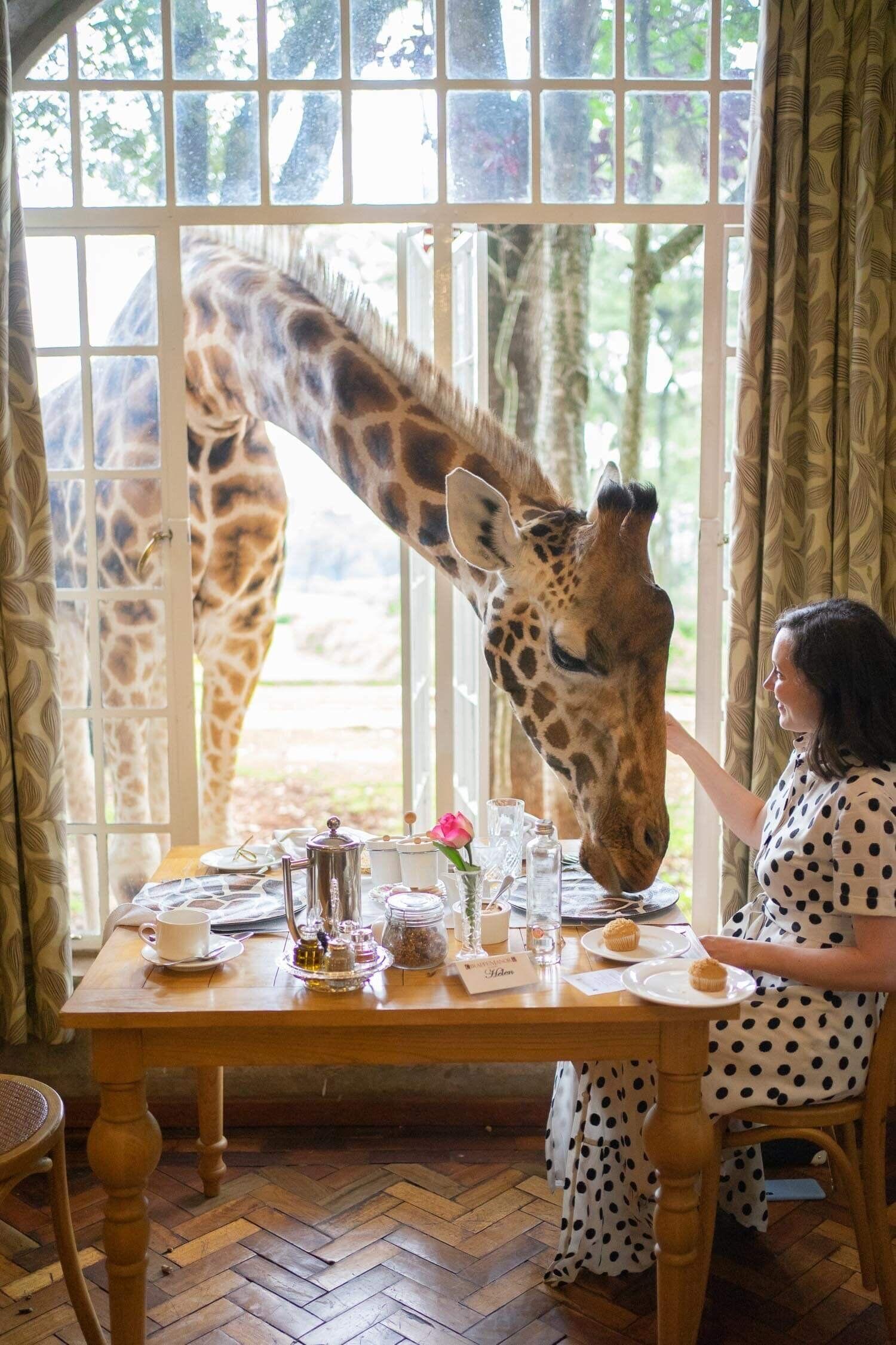 10 Weirdest Restaurants Around the World Worth Visiting