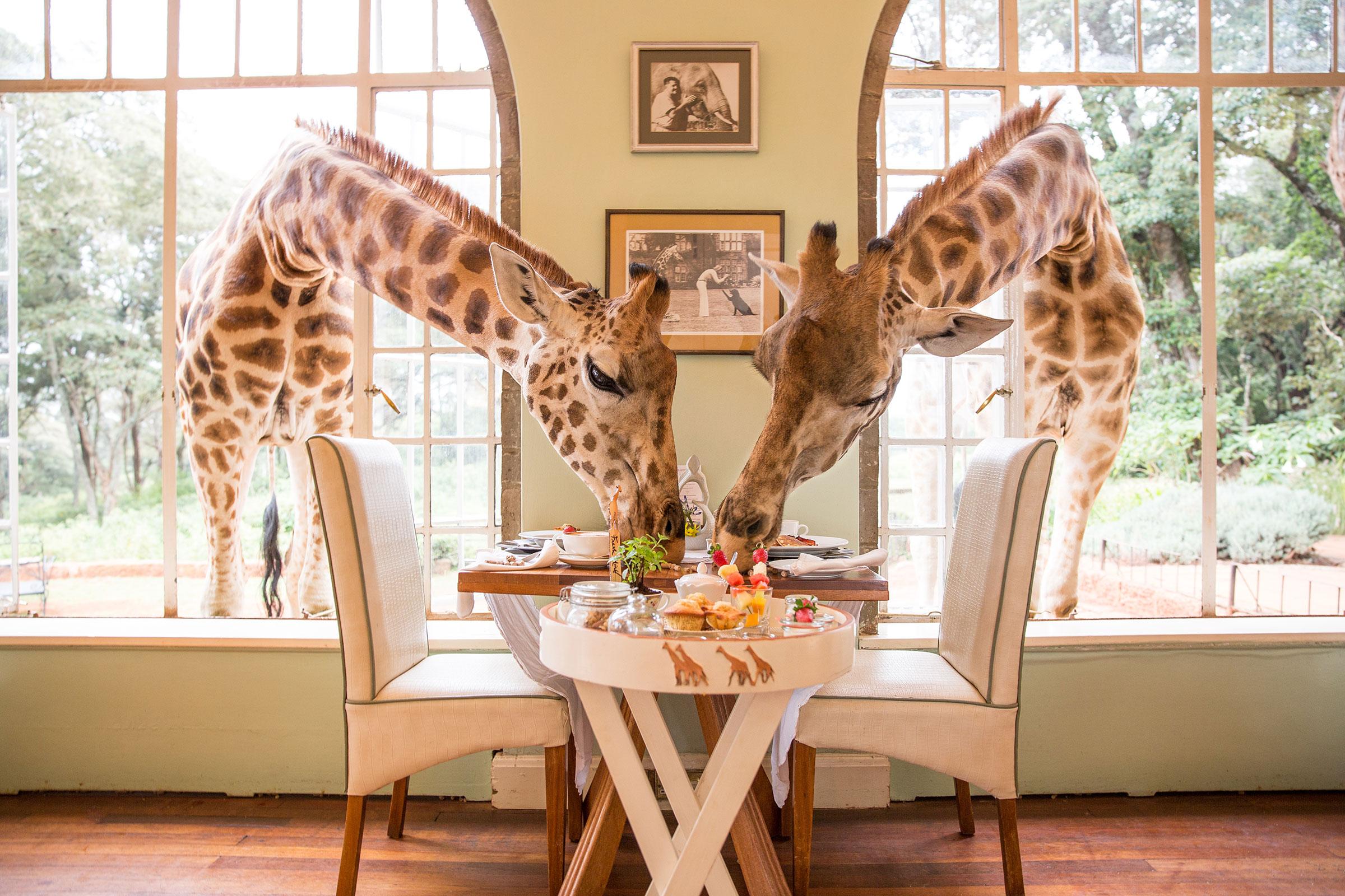 10 Weirdest Restaurants Around the World Worth Visiting