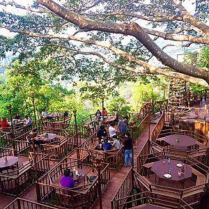 10 Hidden Gem Cafés Around the World Every Traveler Should Discover