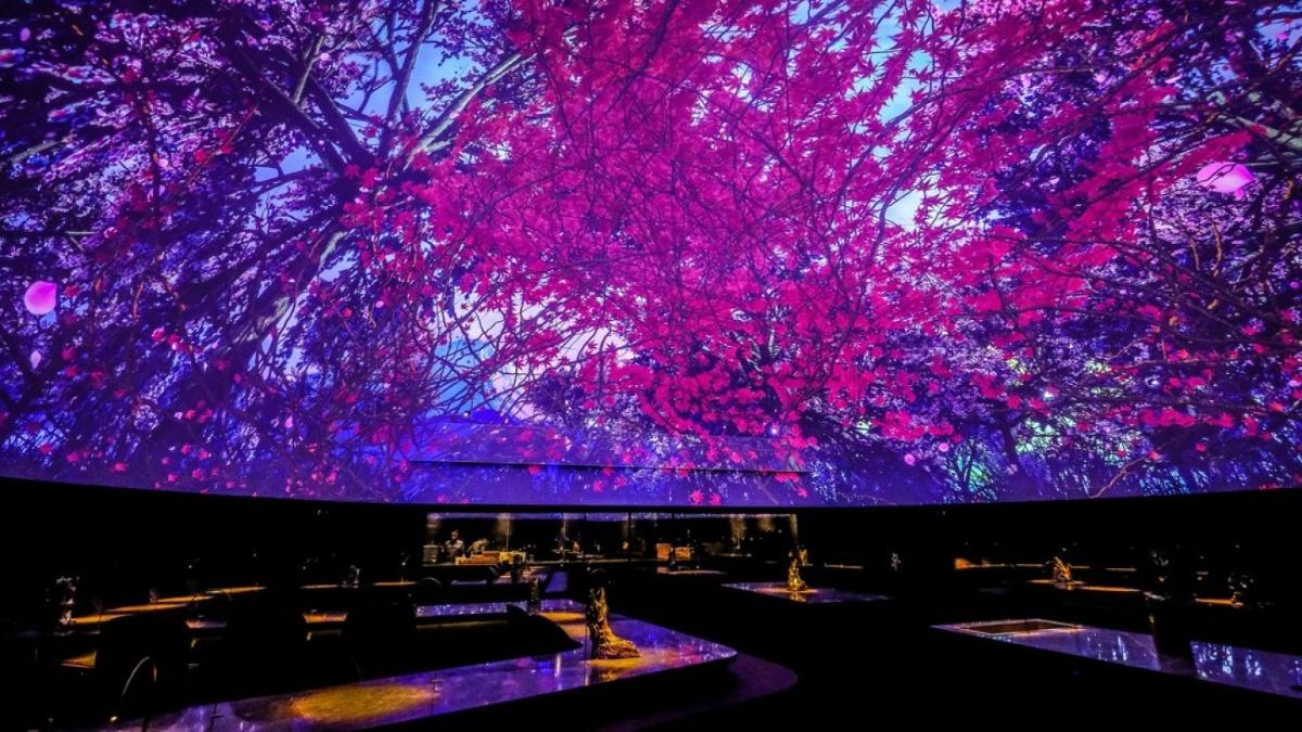 10 Crazy Dining Experiences Around the World You Won’t Believe Exist