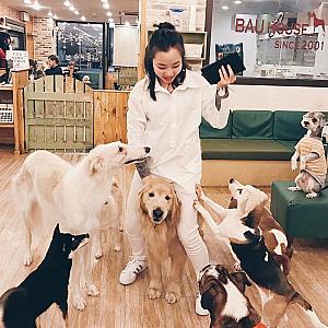 10 Animal Cafés Around the World You’ll Want to Visit | VibesTravelling