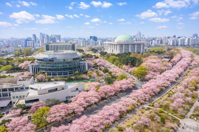 Best Places to Travel in Spring: 10 Beautiful Destinations Around the World
