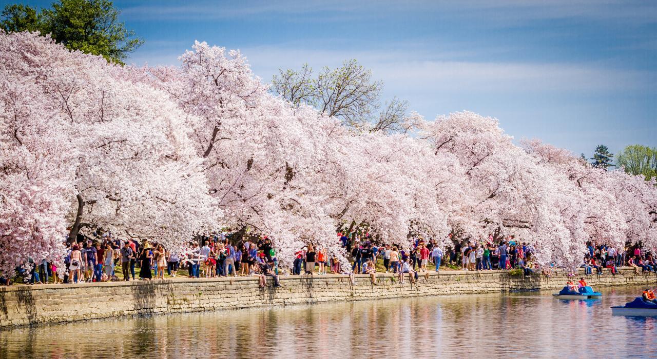 Best Places to Travel in Spring: 10 Beautiful Destinations Around the World