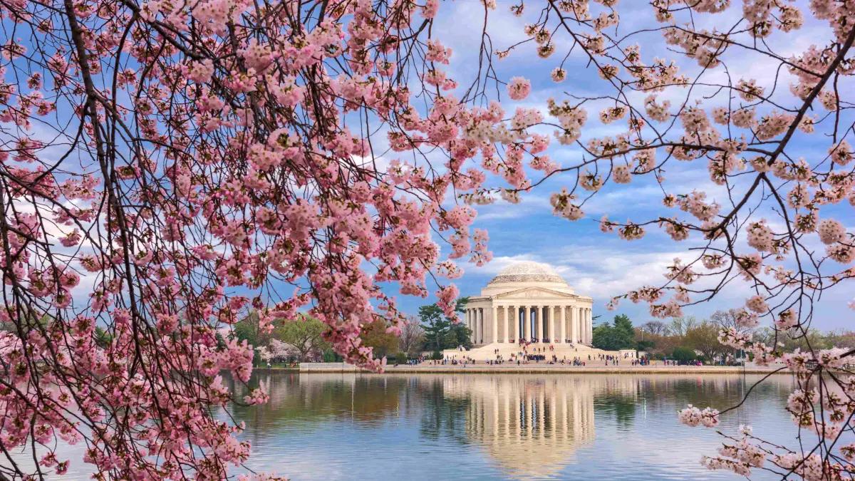 Best Places to Travel in Spring: 10 Beautiful Destinations Around the World