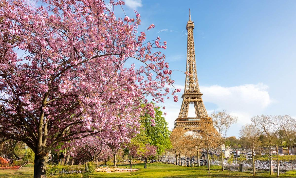 Best Places to Travel in Spring: 10 Beautiful Destinations Around the World