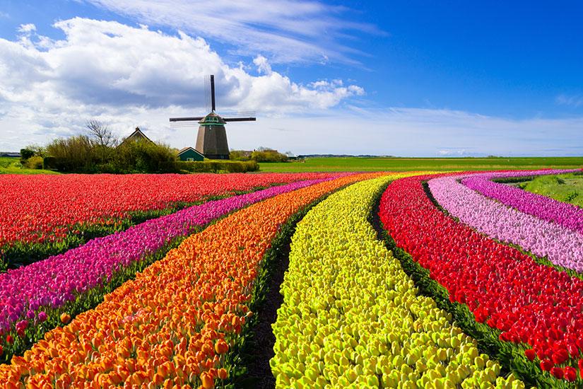 Best Places to Travel in Spring: 10 Beautiful Destinations Around the World