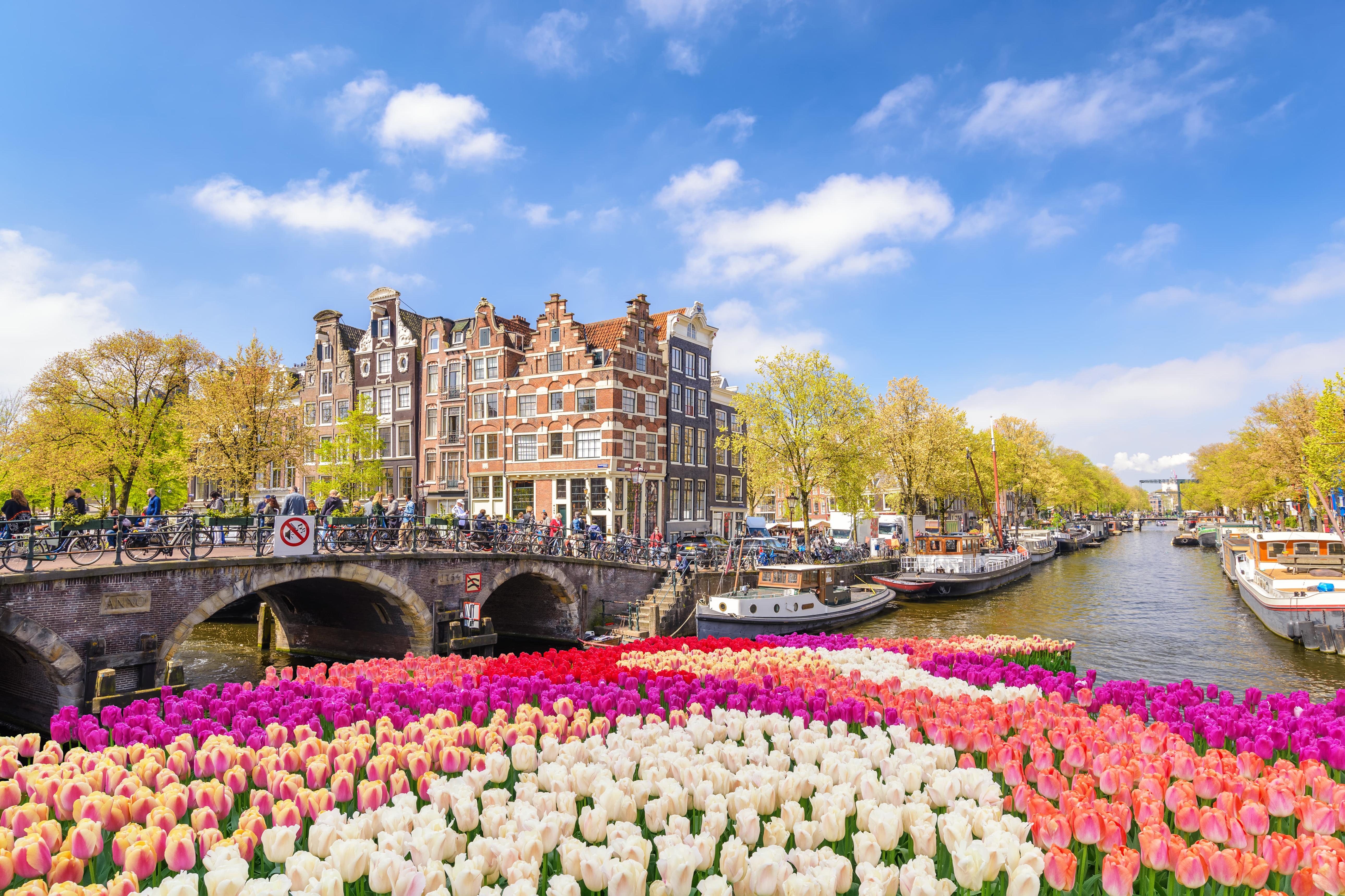 Best Places to Travel in Spring: 10 Beautiful Destinations Around the World