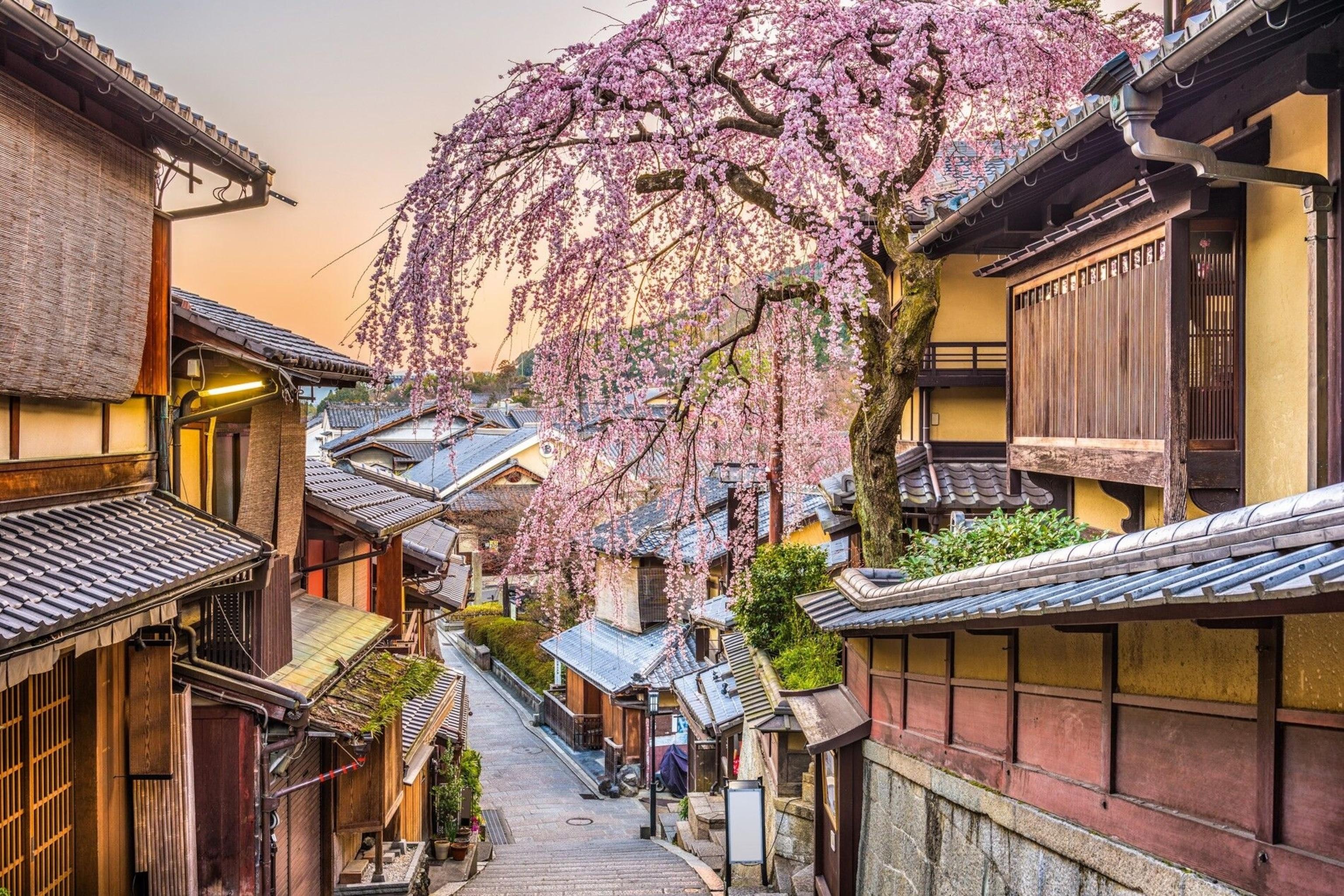 Best Places to Travel in Spring: 10 Beautiful Destinations Around the World