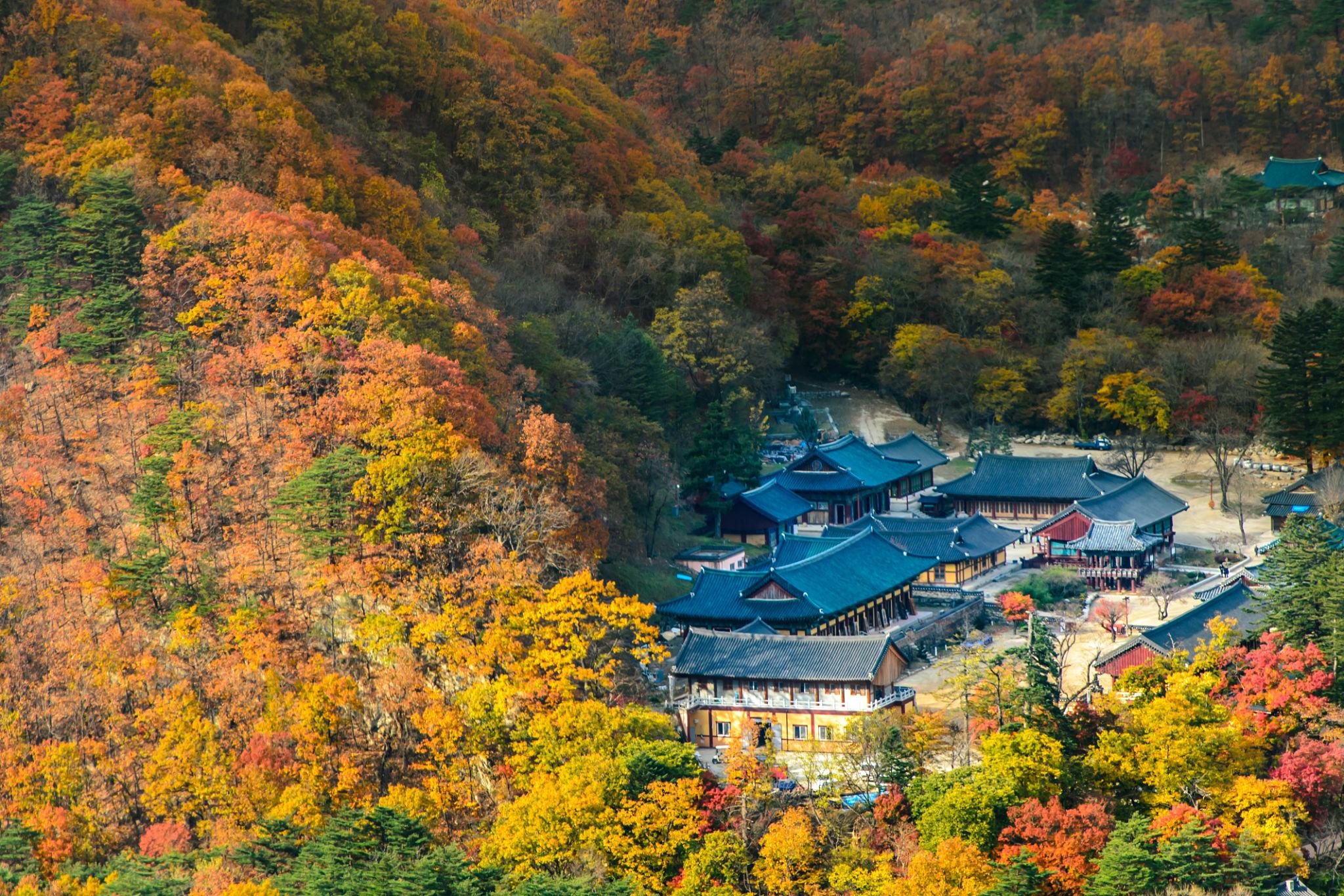Best Fall Travel Destinations Around the World: 10 Places to See Autumn Colors