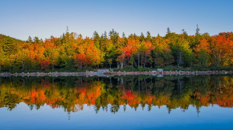 Best Fall Travel Destinations Around the World: 10 Places to See Autumn Colors