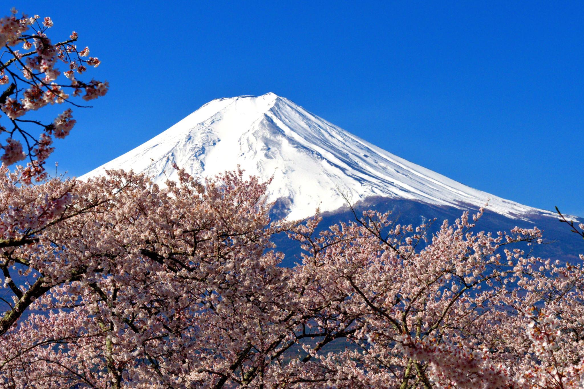 Best Time to Visit Japan: A Complete Seasonal Travel Guide