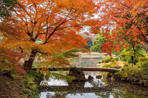Best Time to Visit Japan: A Complete Seasonal Travel Guide