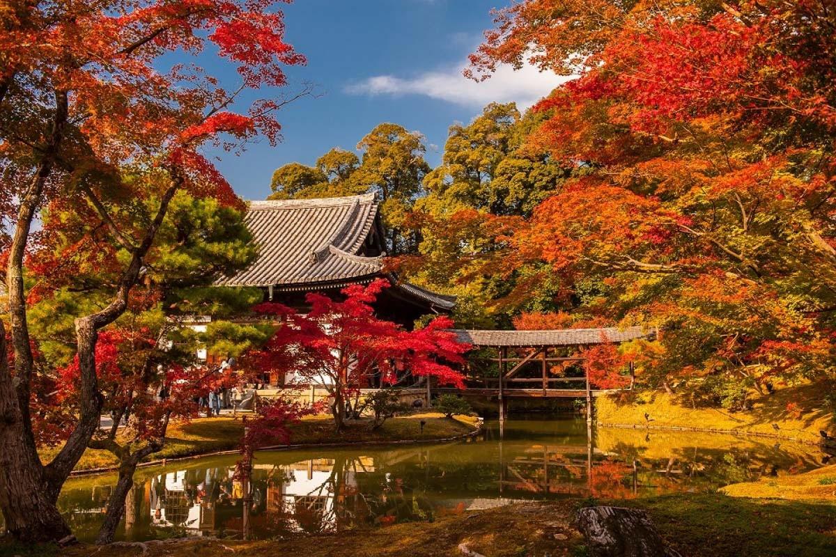 Best Time to Visit Japan: A Complete Seasonal Travel Guide