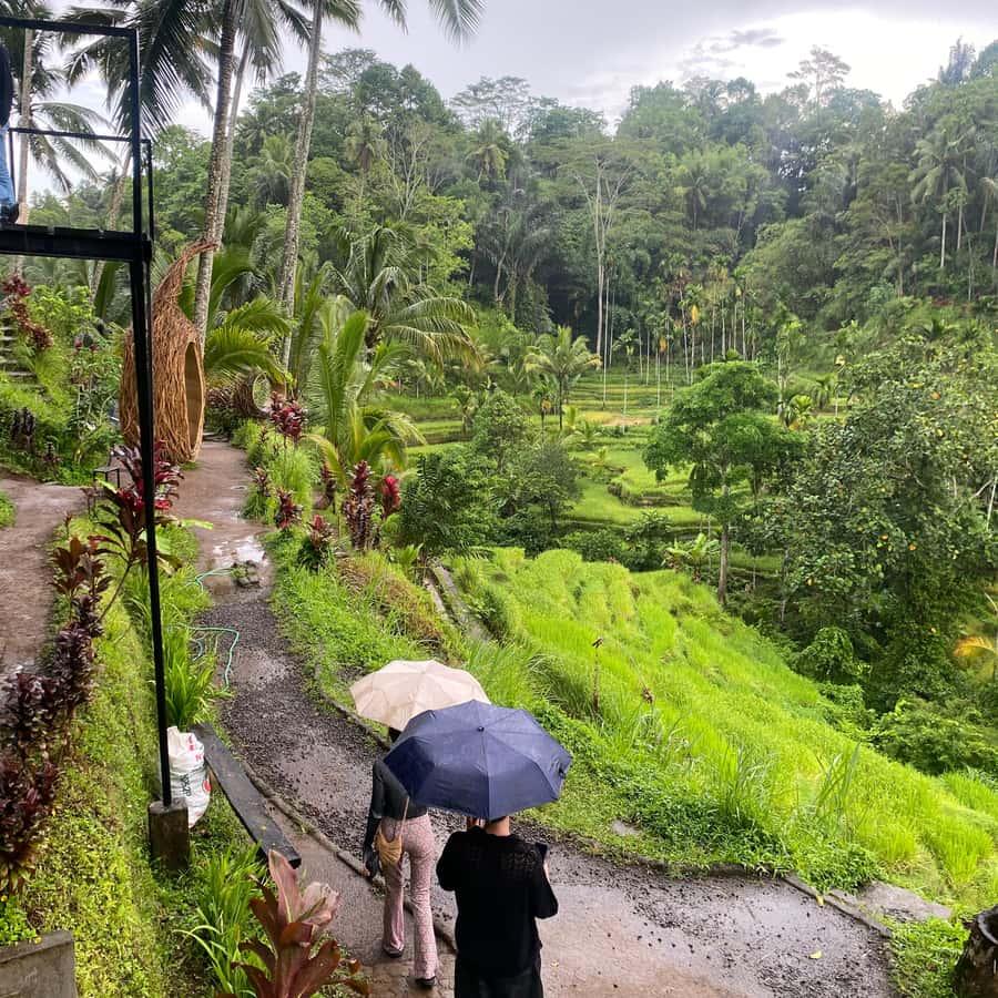 Best Tropical Destinations to Visit in the Rainy Season | Vibes Traveling