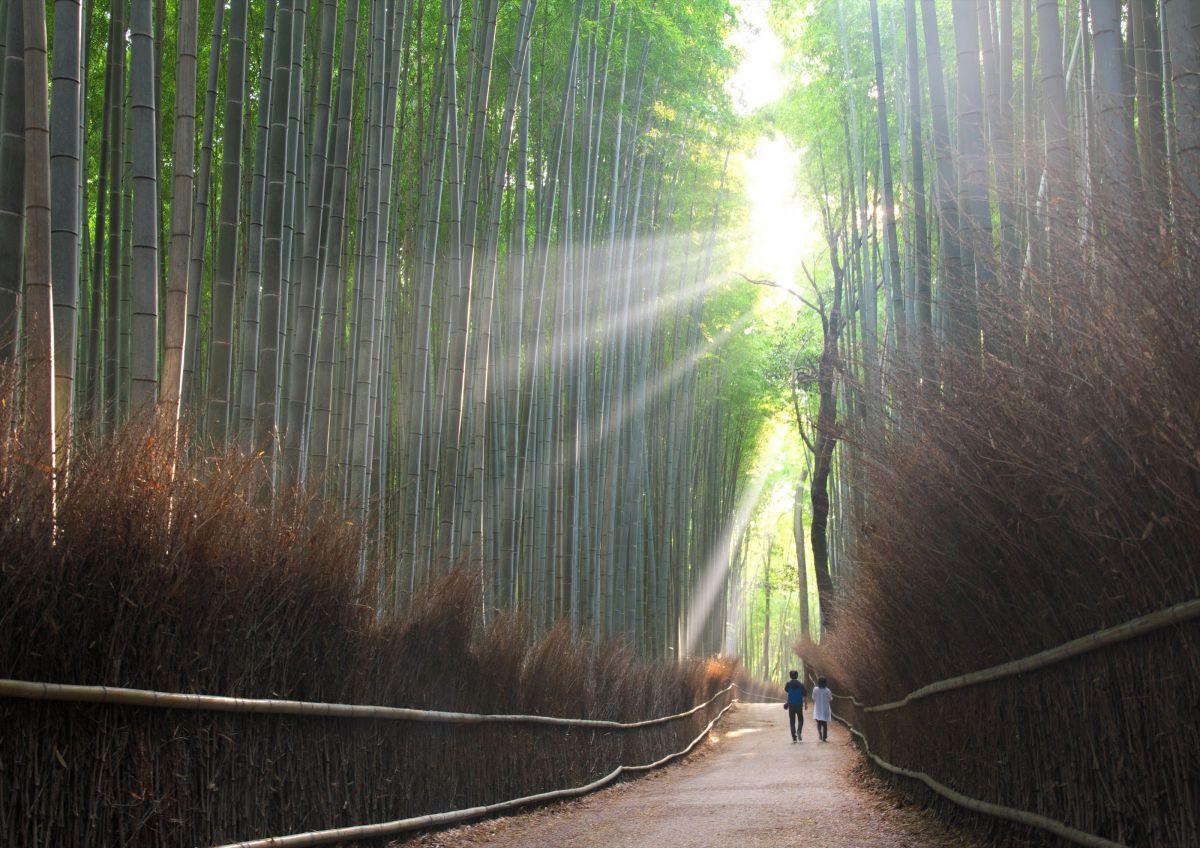 10 Best Photography Spots in Japan