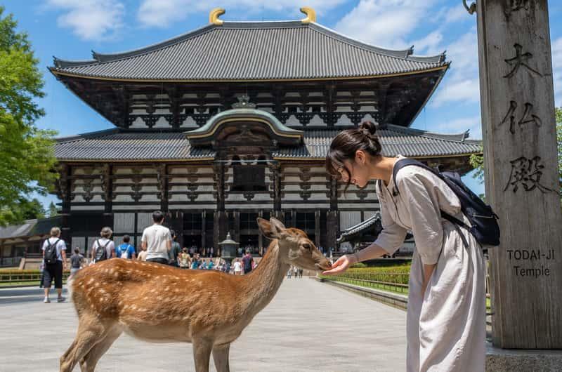 10 Best Photography Spots in Japan