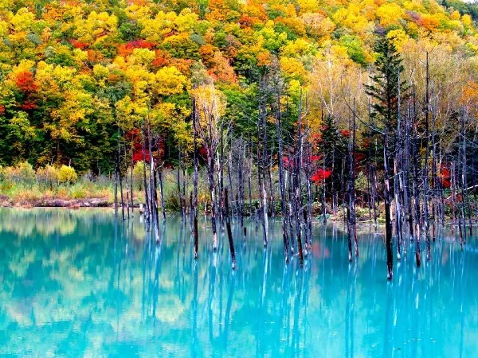 10 Best Photography Spots in Japan