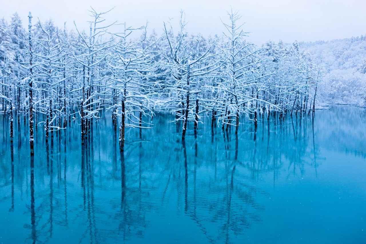 10 Best Photography Spots in Japan