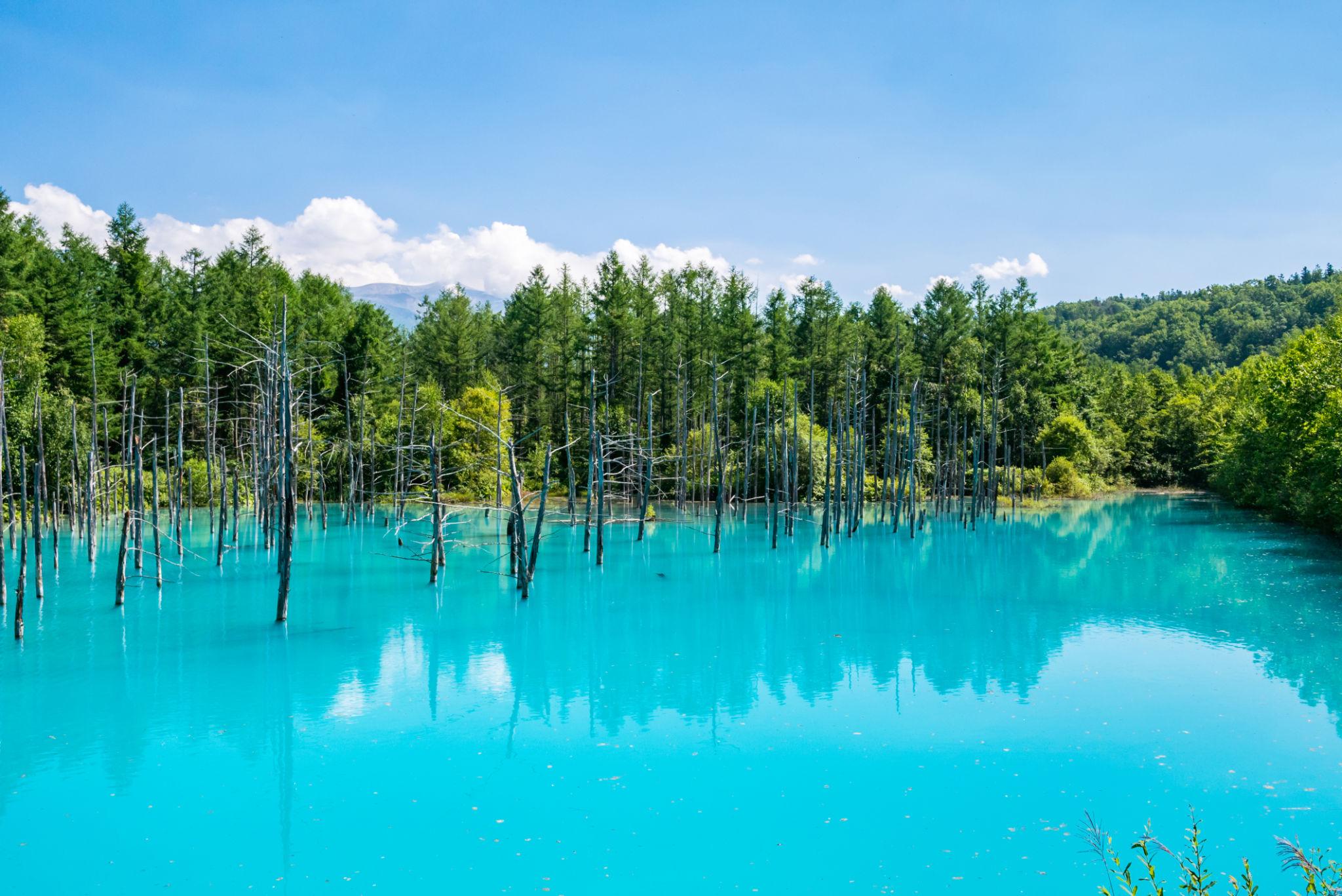 10 Best Photography Spots in Japan