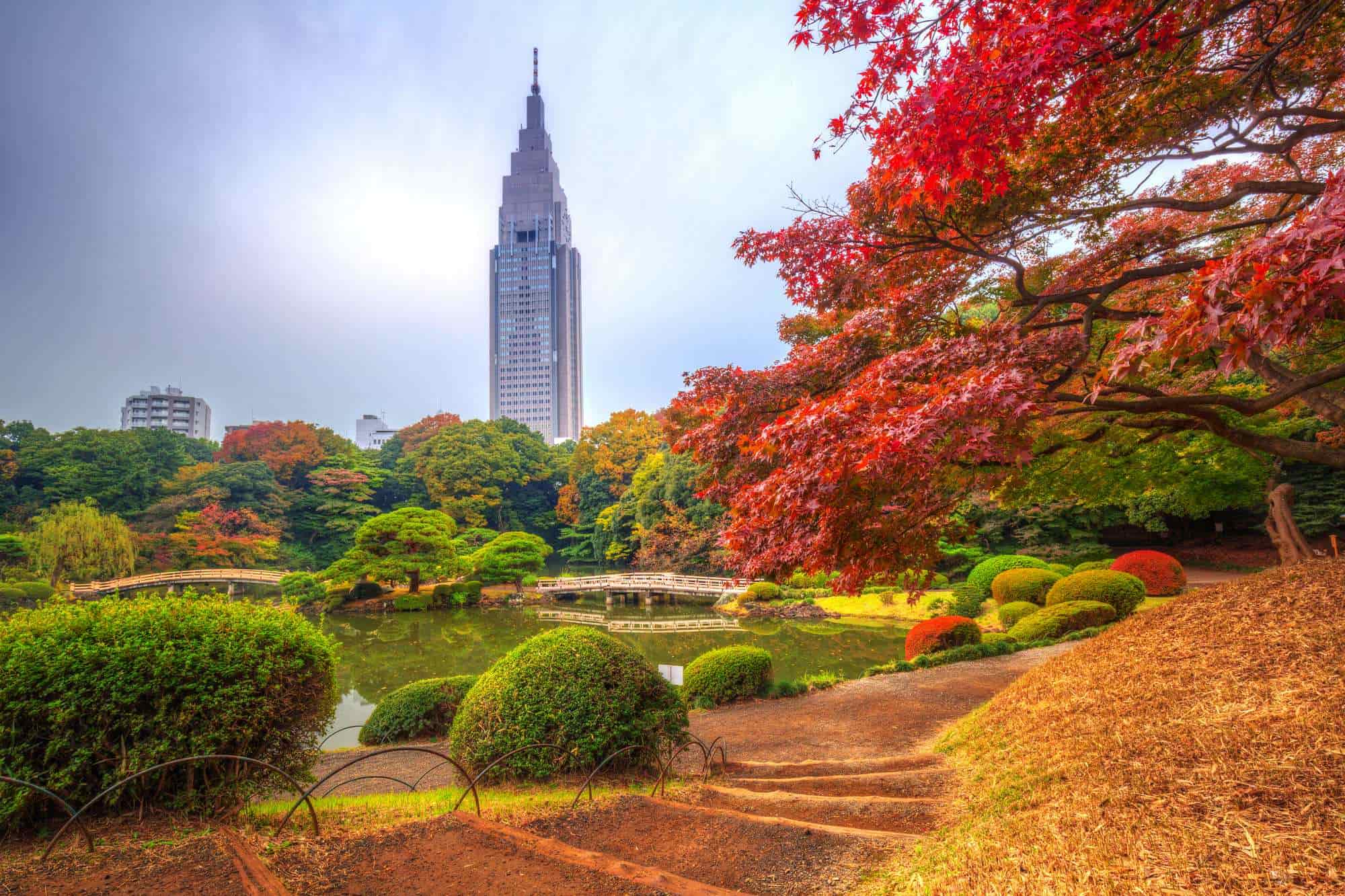 Top Things to Do in Shinjuku for First-Time Visitors (Complete Travel Guide)