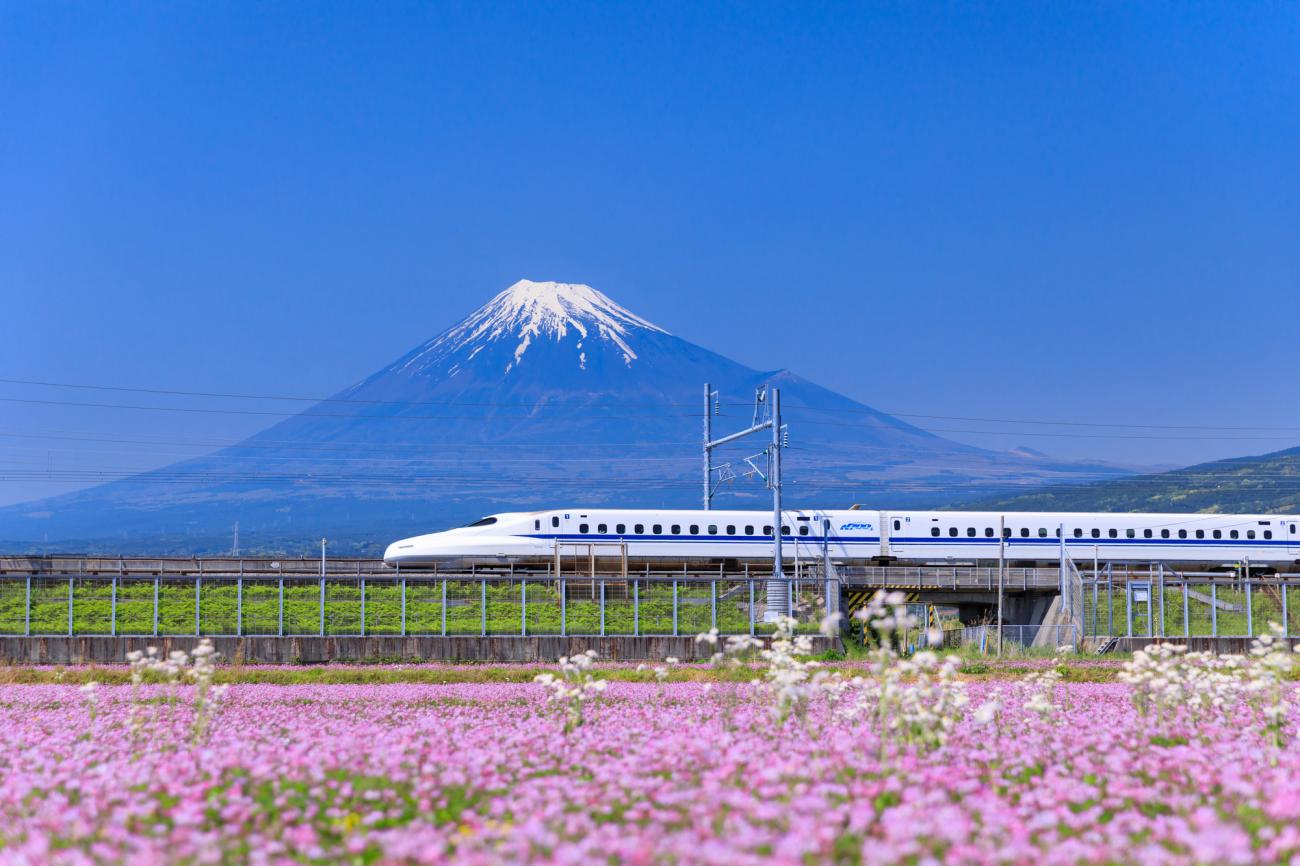 Ultimate Guide to Japanese Train Travel: Everything You Need to Know
