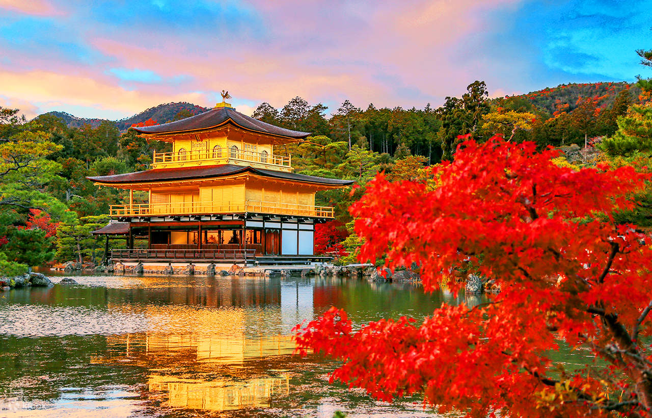The Most Beautiful Shrines and Temples in Japan (A Traveler’s Guide)
