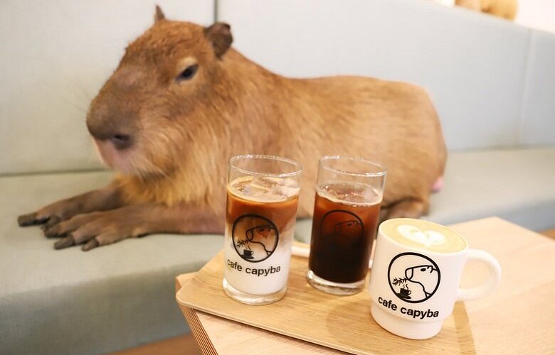 12 Unique Cafés in Tokyo You Need to Visit