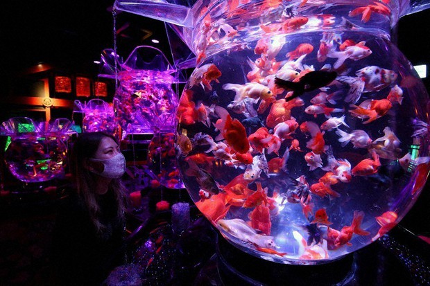 12 Unique Cafés in Tokyo You Need to Visit