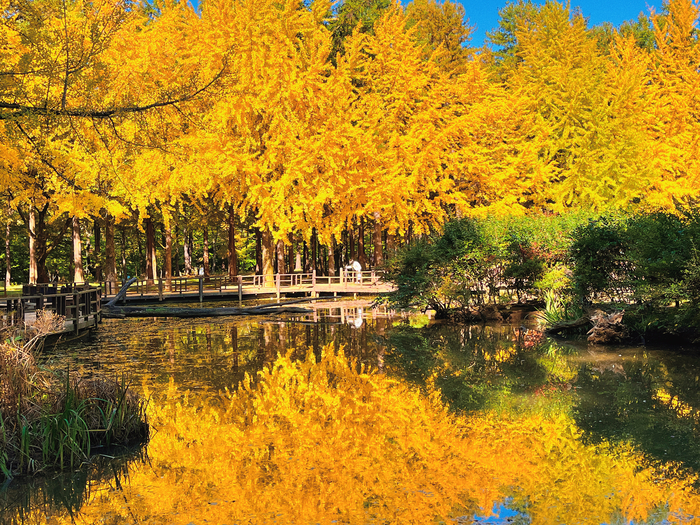 Best Day Trips from Major Cities in South Korea