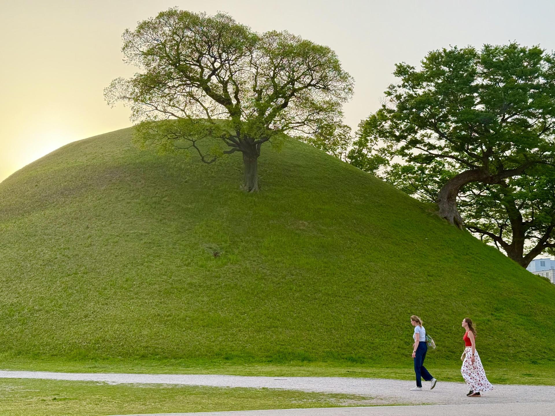 Best Day Trips from Major Cities in South Korea