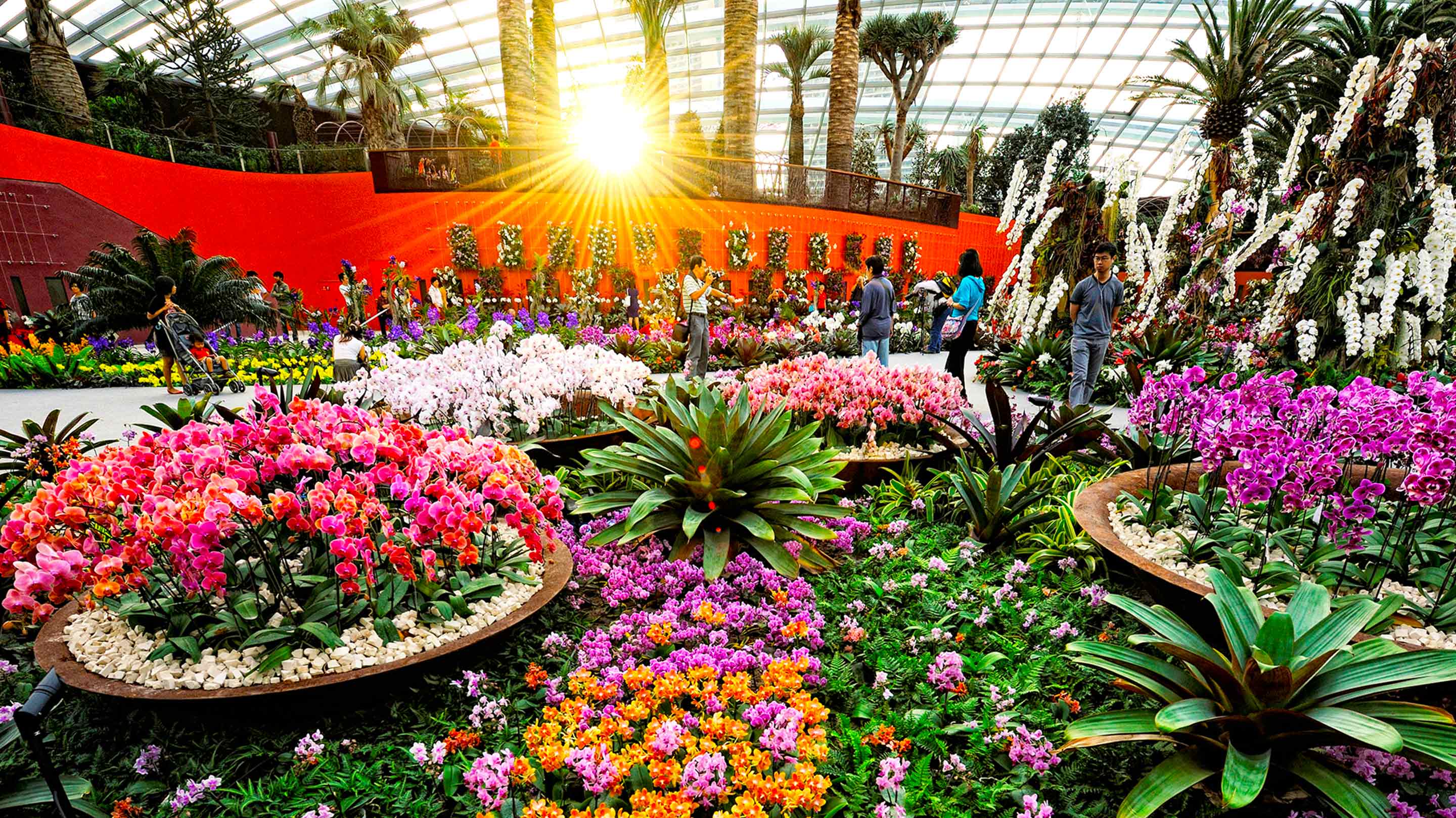 Best Day Trips from Major Cities in Singapore