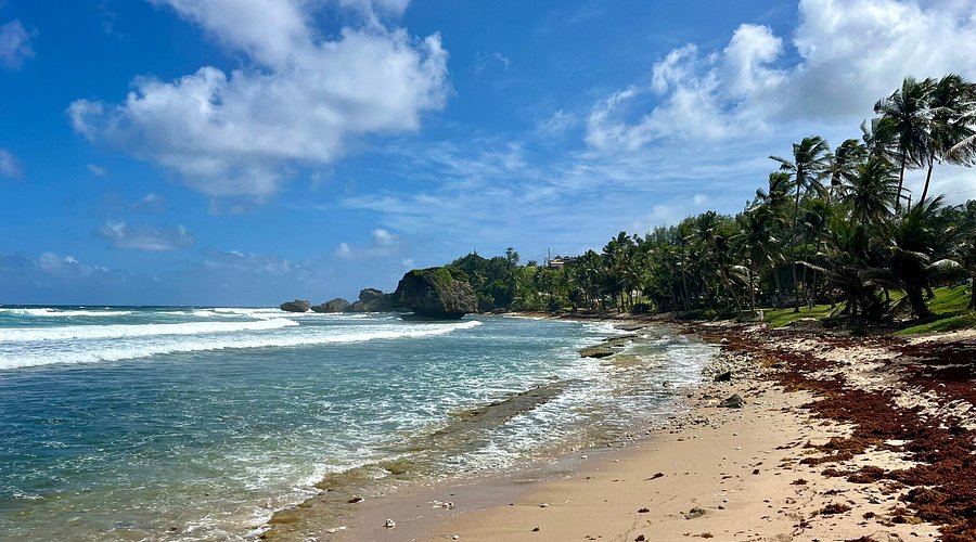 Best Photography Spots in Barbados 📸🏝️