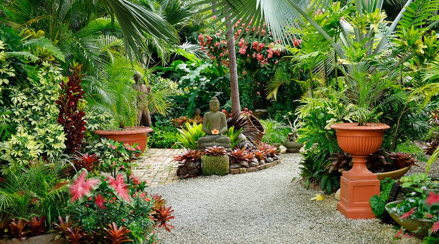 Best Photography Spots in Barbados 📸🏝️