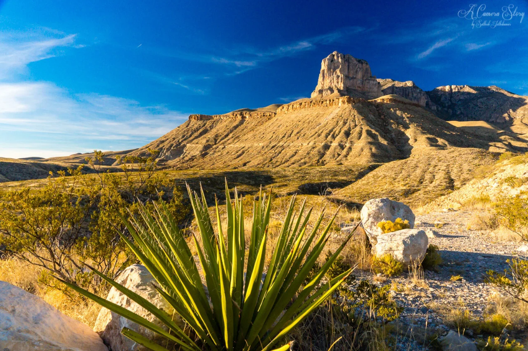Best Photography Spots in Texas: Iconic Locations Every Photographer Should Visit