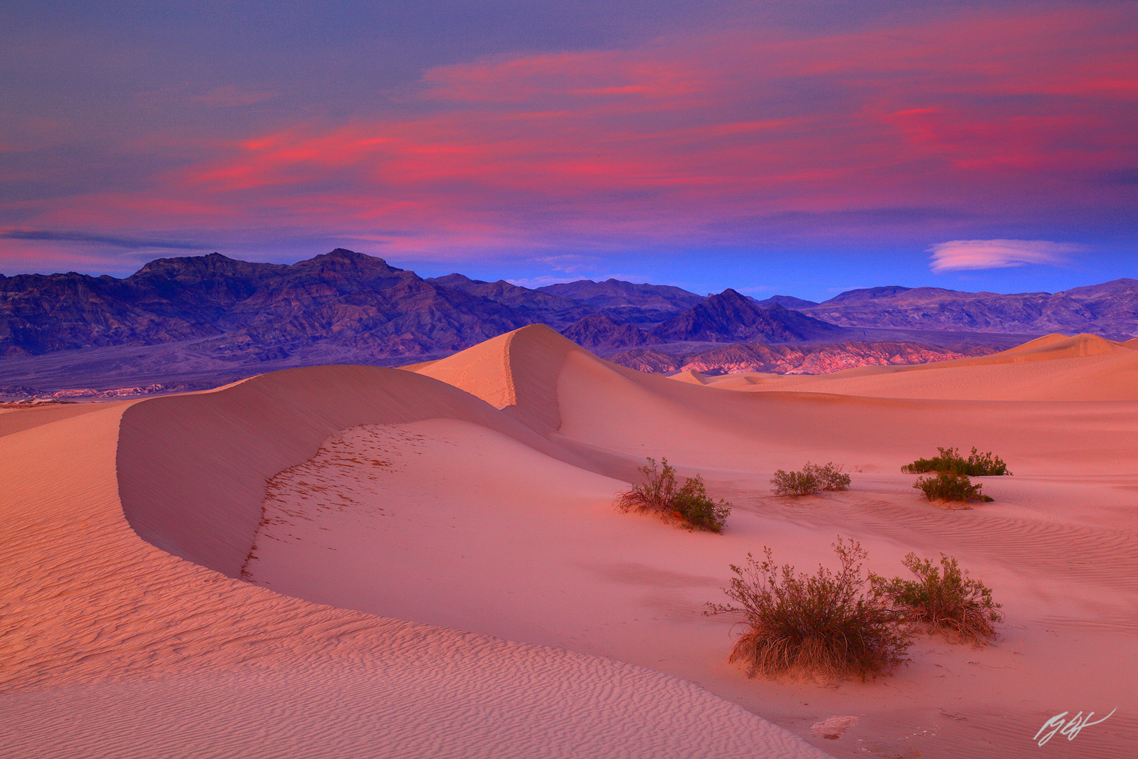 Best Photography Spots in California: Capture the Golden State’s Most Stunning Views 📸