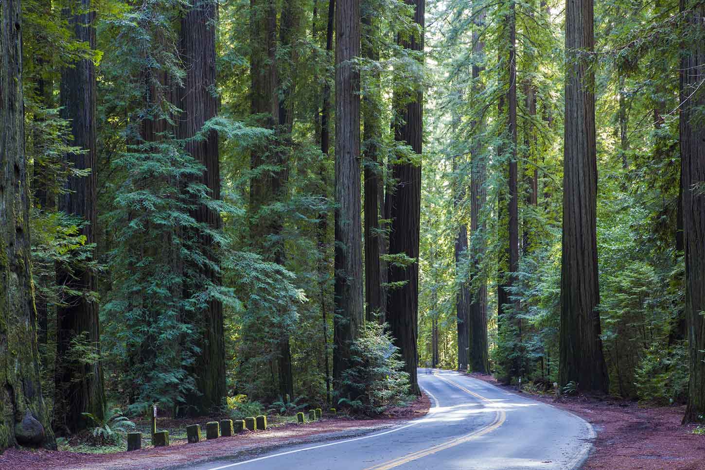 Best Photography Spots in California: Capture the Golden State’s Most Stunning Views 📸