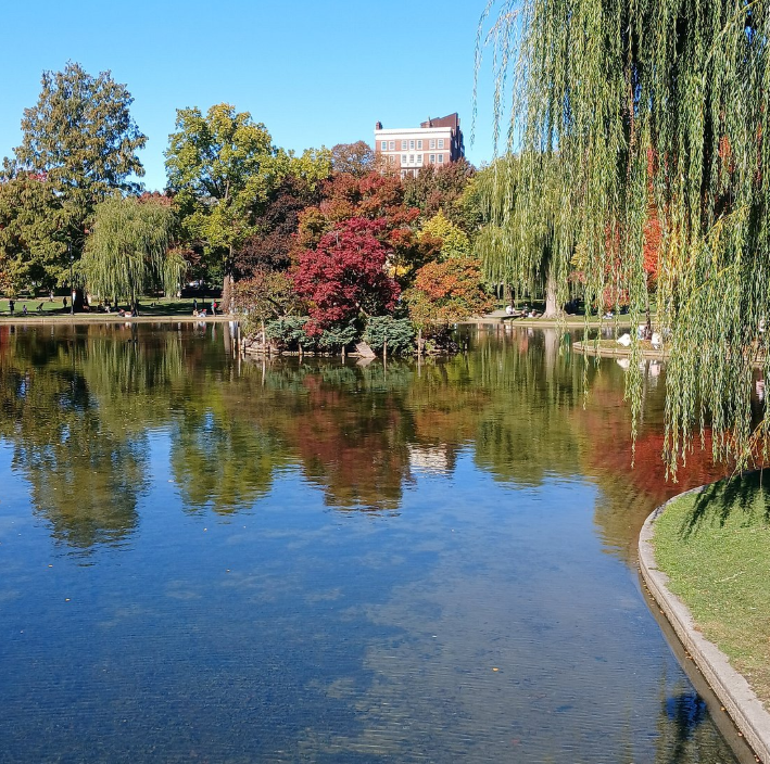 Best Photography Spots in Boston: Capture the Charm of America’s Historic City 📸