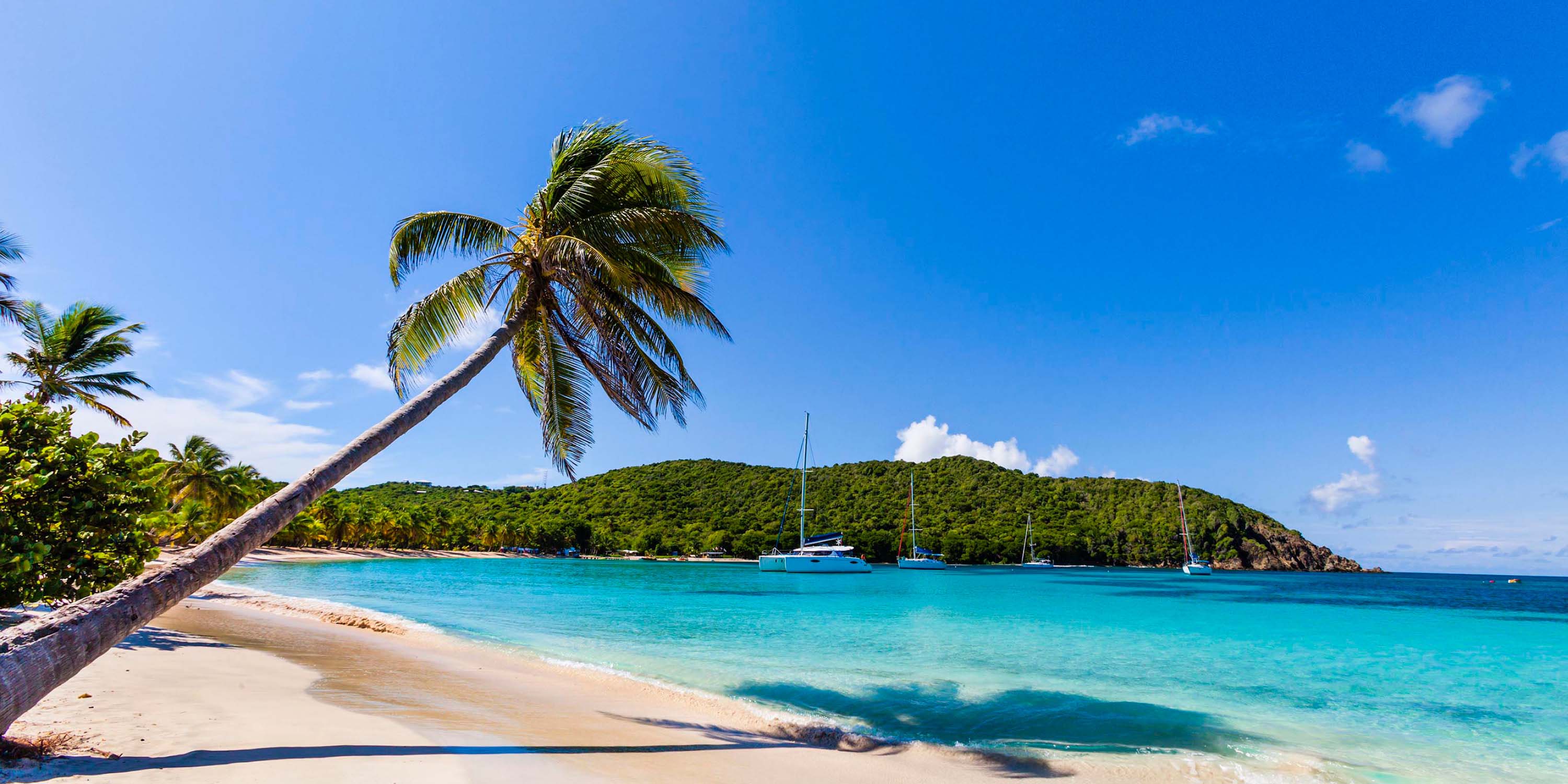 Caribbean Travel Guide: The Ultimate Tropical Escape 🌴