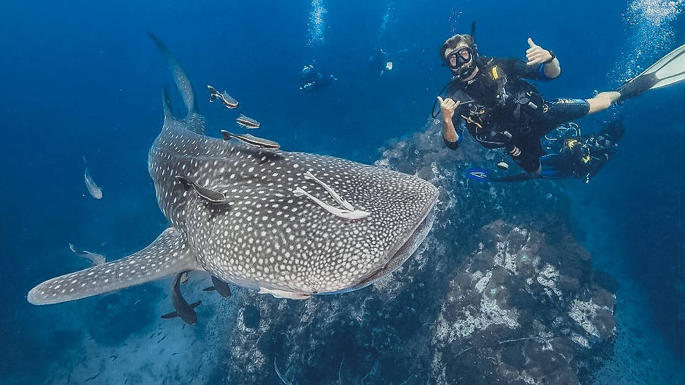 Best Adventure Activities in Thailand: Thrilling Experiences for Every Explorer