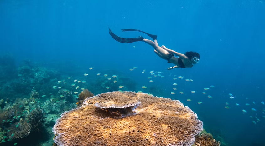 50 Best Adventure Activities in Thailand for Thrill-Seekers