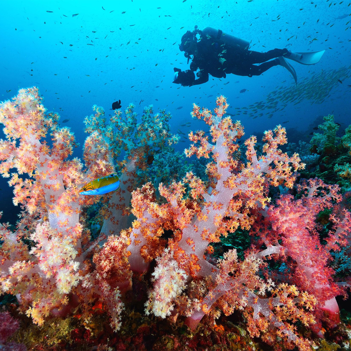 50 Best Adventure Activities in Thailand for Thrill-Seekers