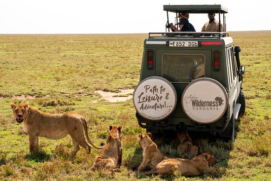 Best Adventure Activities in Africa: Thrilling Experiences for Every Explorer