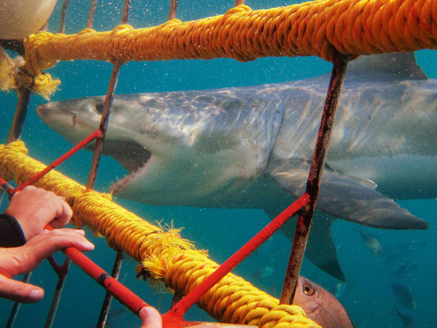 Best Adventure Activities in Africa: Thrilling Experiences for Every Explorer