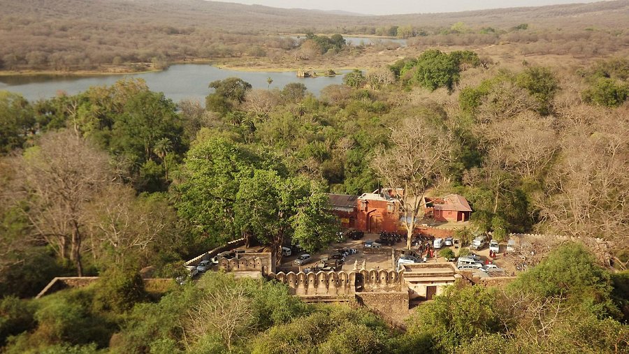 Best Adventure Activities in India: Thrilling Experiences for Every Explorer
