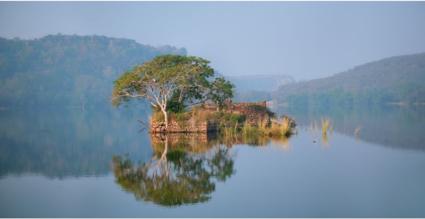 Best Adventure Activities in India: Thrilling Experiences for Every Explorer
