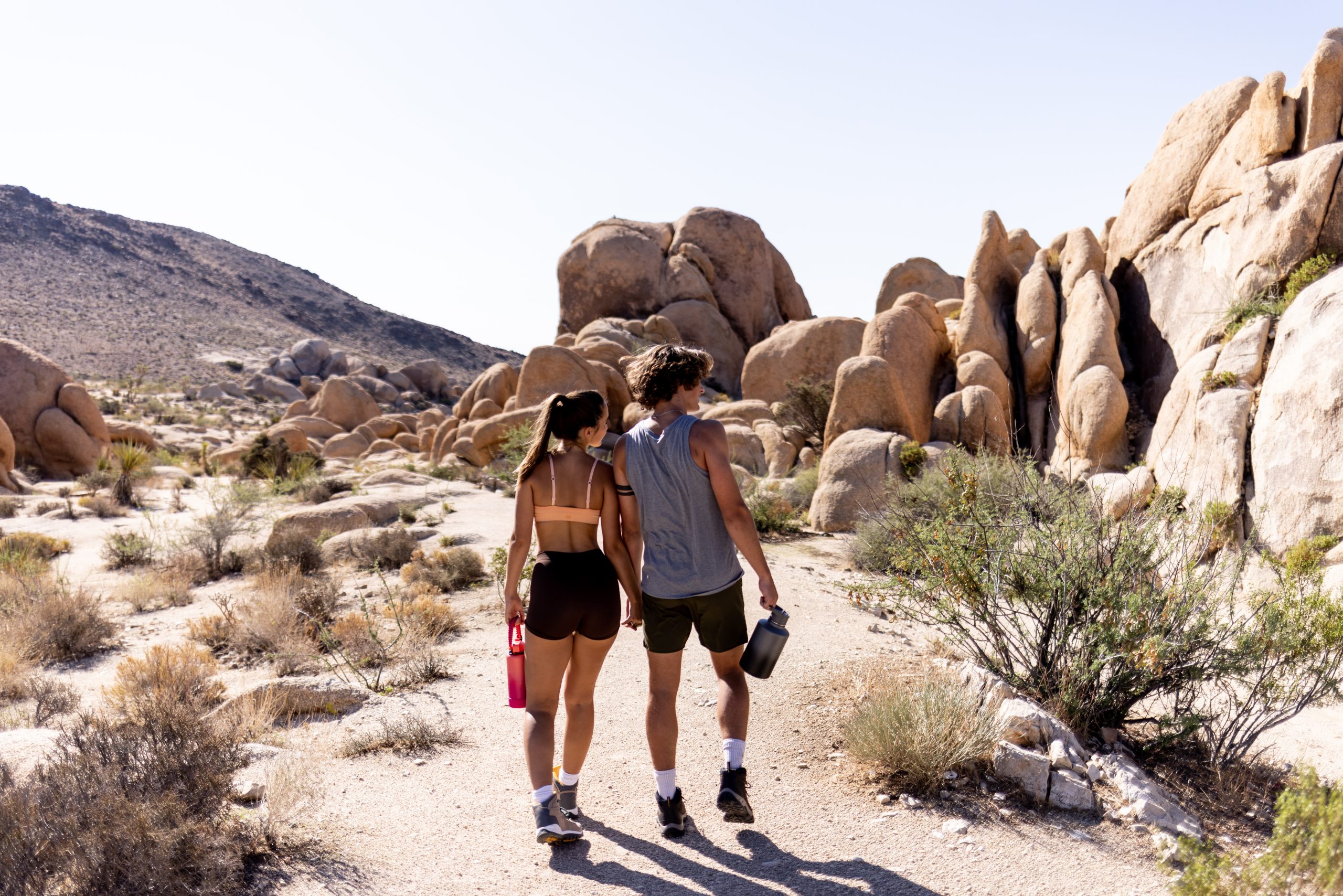 Top National Parks to Visit in the United States (2026 Guide)