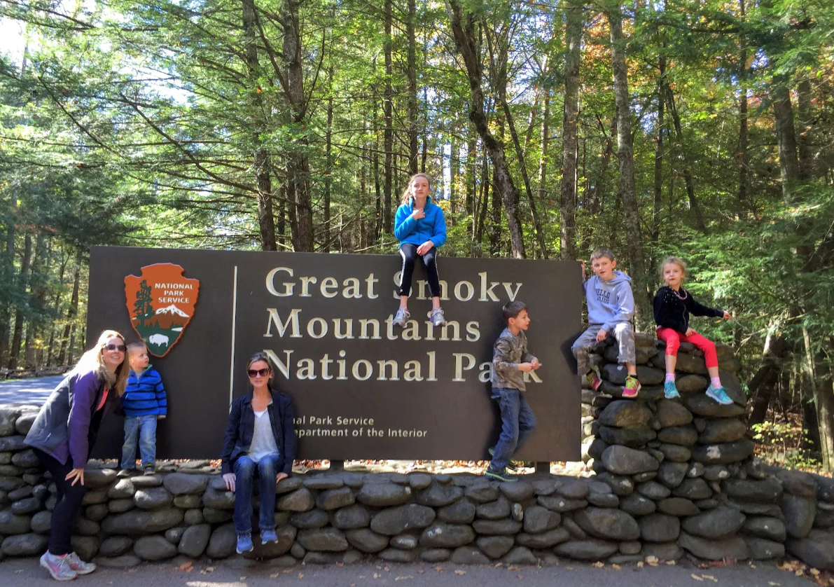 Top National Parks to Visit in the United States (2026 Guide)