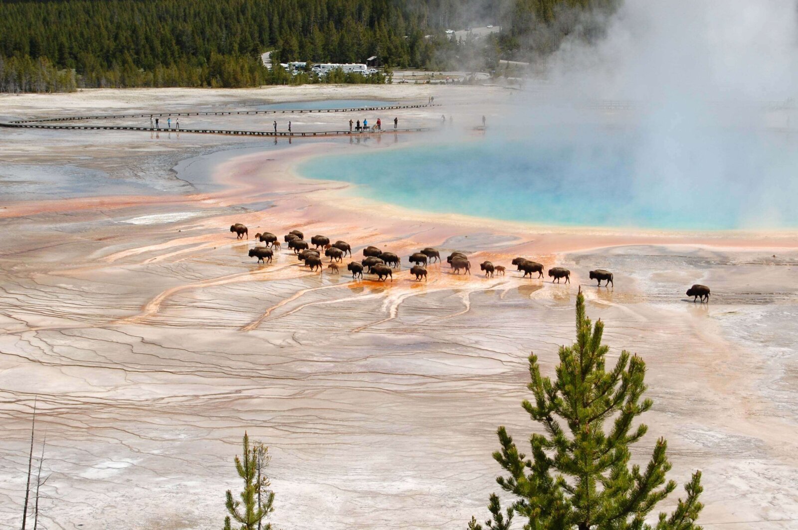 Top National Parks to Visit in the United States (2026 Guide)