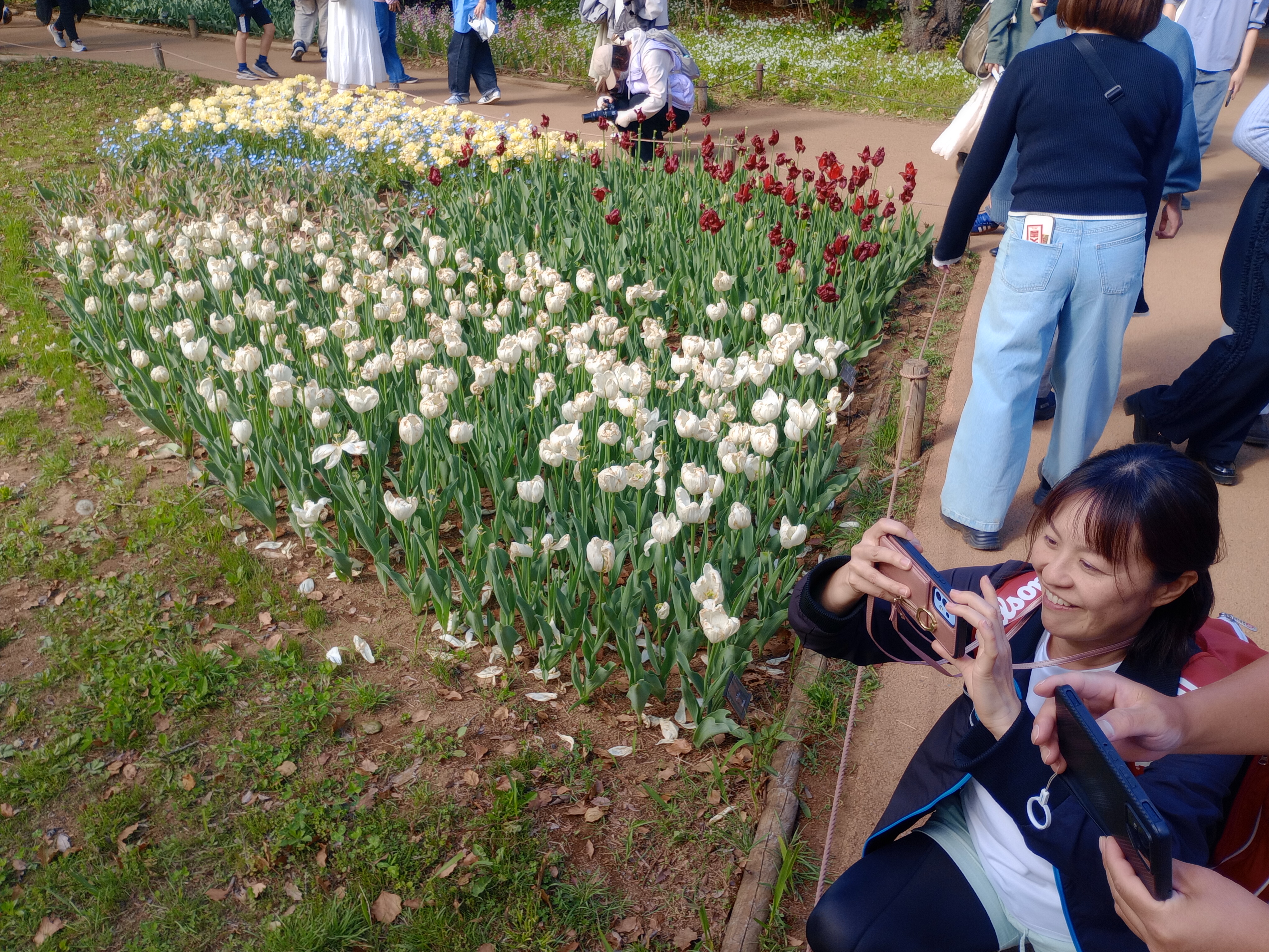 Exploring the Wonders of Showa Kinen Park 🌿🇯🇵