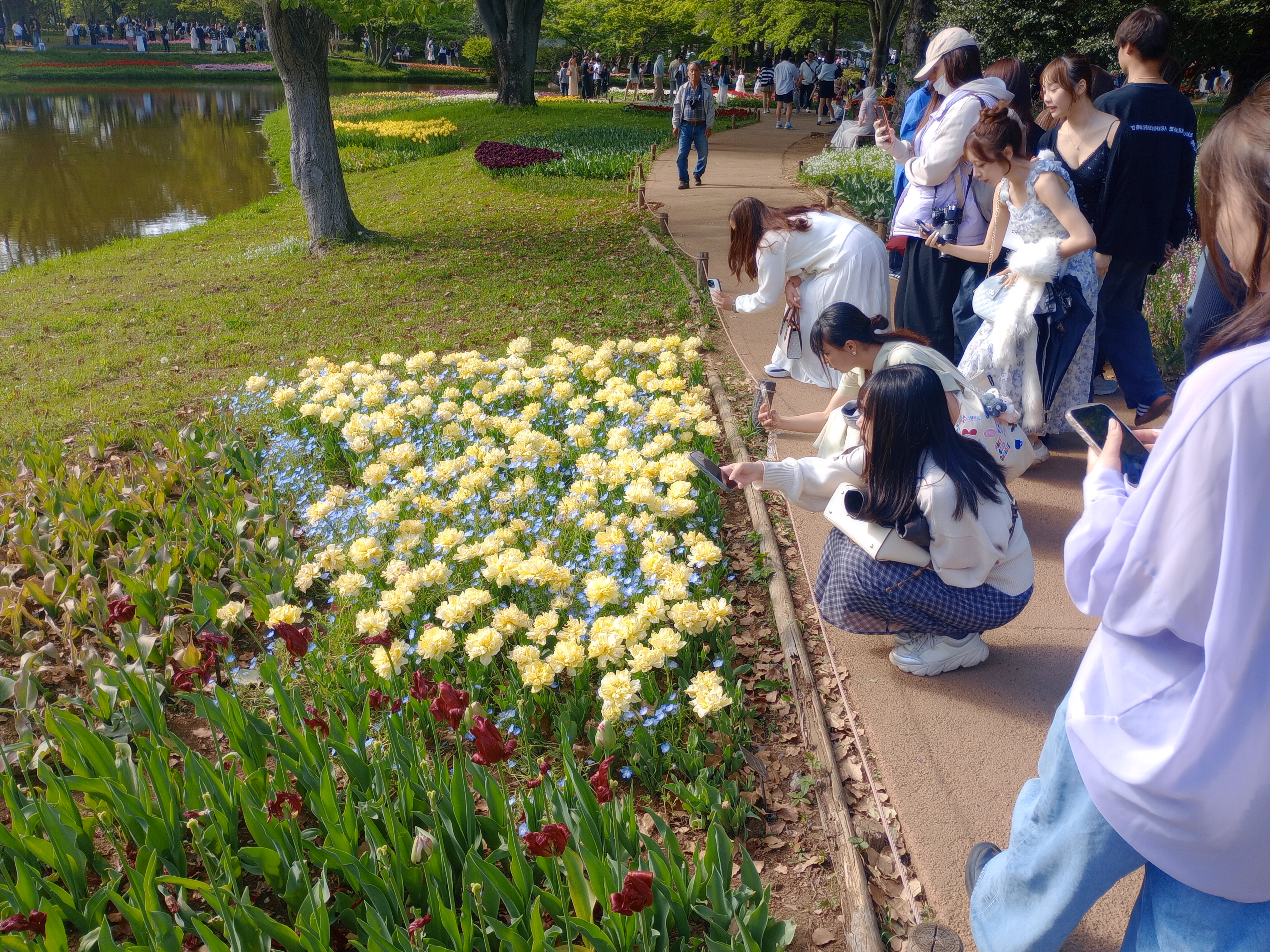 Exploring the Wonders of Showa Kinen Park 🌿🇯🇵